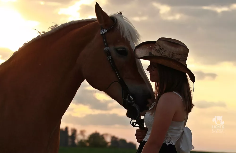 Harmonie beim Reiten